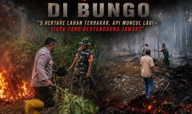 Karhutla Kembali Menggila di Bungo: 5 Hektare Lahan Terbakar, Api Muncul Lagi-Siapa yang Bertanggung Jawab?