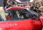 Kaesang Anak Jokowi Naksir Mobil Sport Rp 2 M
