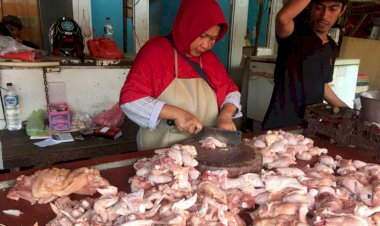 Harga Ayam Naik Rp40 Ribu di Jambi, Pedagang: Nak Diapoi Lagi Lah!