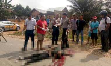 Laka Lantas di Pauh Sarolangun, Dua Warga SAD Tewas di Tempat
