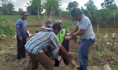 Polisi Minta Warga Tak Terprovokasi Beredarnya Video "Mesuji Berdarah"