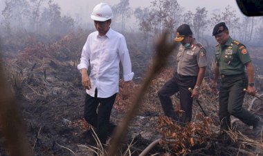 MA Tolak Kasasi Jokowi dalam Kasus Kebakaran Hutan di Kalimantan