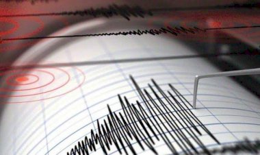Gempa 5 Magnitudo Goncang Pulau Seram Maluku