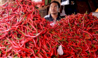 Harga Ayam Turun Rp6.000, Harga Cabai Bertahan Mahal