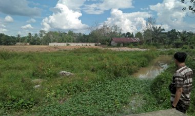 Pemkab Muarojambi Tegaskan Tak Berikan Izin Perumahan NGK, Masnah: Ekspos Dulu