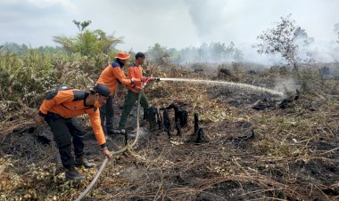 Tim Berjibaku Padamkan Api di Puluhan Hektar Lahan di Muaro Jambi