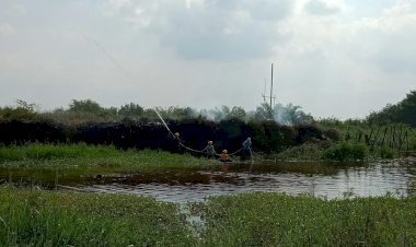 Lahan PT Kharisma Kemingking Terbakar, Manajemen: Tidak Ada Itu