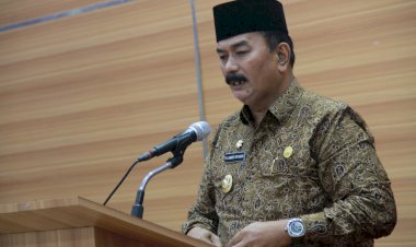 38 Jembatan di Sebrang Kota Tanjabbar Jadi Prioritas, Ini Alasannya