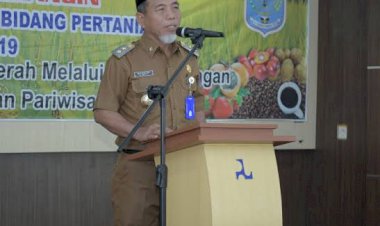 Usulan CPNS 30 Persen, Pemkab Merangin Perbanyak Usulan PPPK