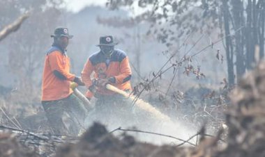Waspada Asap, Kebakaran Lahan di Muarojambi Sempat Mencapai 35 Hektare per Hari