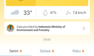 Dinas Kesehatan Provinsi Jambi Akui Udara Sehat Menurun, Kabupaten Minta Suplai Masker