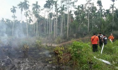 Kebakaran Lahan Terjadi di Senyerang Tanjab Barat