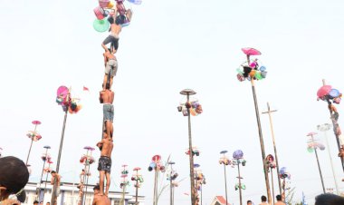 Seru! 54 Batang Perlombaan Panjat Pinang di Tungkal