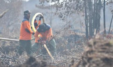 Terpantau Titik Api Baru di Muarojambi