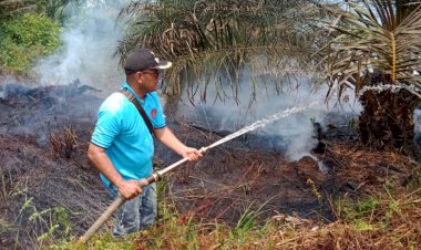 161,40 Hektar Hutan & Lahan Tanjab Barat Terbakar, BPBD: Lebih Dahsyat