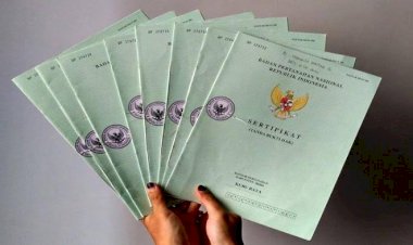 2 Sertifikat Tanah Milik Jokowi Hilang