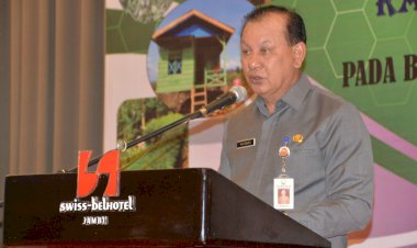 Tiga Tahun Terakhir 40 Persen Kawasan Hutan di Jambi Alami Kerusakan Berat