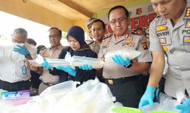 Gerebek Gudang Ribuan Baby Lobster, Ini Kerugian Negara yang Diselamatkan