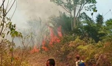 Lapor Pak Bupati! Tiga Hari Kebakaran Lahan Karak Apung Akses Jalan Tak Ada
