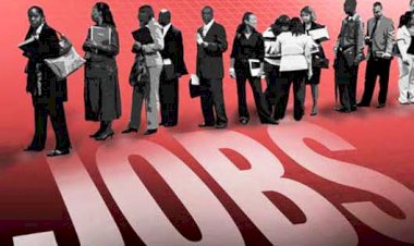 BUMN Buka Lowongan Kerja, Cek Disini Syaratnya!