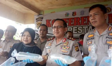 7 Pelaku Hanya Pekerja, Polisi Telusuri Jalur Peredaran Benih Lobster di Jambi