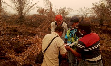 BREAKING NEWS! Manajemen PT BEP dan PT SMP Diperiksa Polisi Terkait Karhutla