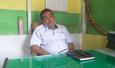 Masalah Karhutla, PT Samhutani Ditegur Pemerintah