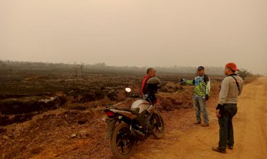 PT BEP Ngaku Rugi Rp5 Milliar akibat Karhutla, Jackson: Ini Pasti Sabotase!