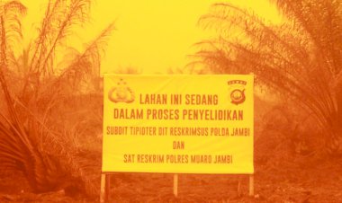 PT BEP Diduga Penyumbang Kabut Asap di Provinsi Jambi