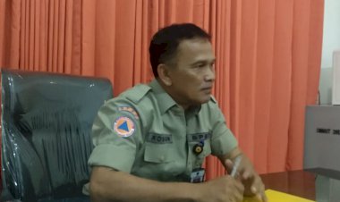 Hingga September 247,62 Hektar Lahan Tanjab Barat Terbakar