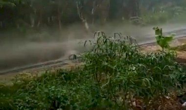 Ini Kata BMKG Terkait Hujan di Tanjabbar & Tanjabtim