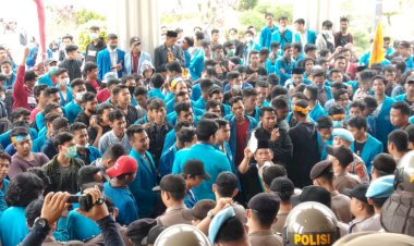 Karhutla Ancam Jambi, Mahasiswa Tuntut Gubernur Cabut Izin Perusahaan Melanggar!