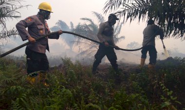 Hingga Kini Petugas Masih Berjibaku Padamkan Api Karhutla di Muarojambi
