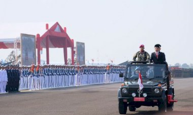 Jokowi Siapkan Pos Jabatan 450 Berpangkat Kolonel dan 300 Jenderal