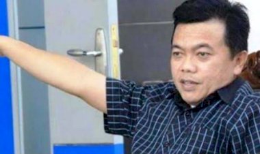 Sore ini Alharis Daftar ke Demokrat, Hasan: NasDem Minggu Depan