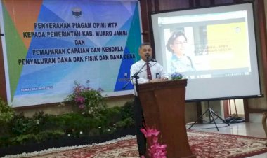 Duh! Milliaran DAK 'Disia-siakan' Tiga OPD Muarojambi