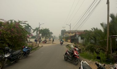 Kabut Asap Masih Selimuti Kualatungkal, Kosasi: Kabut Asap Kiriman Muarojambi Sekitar