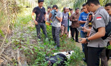BREAKING NEWS!! Tukang Ojek Tewas Bersimbah Darah di Perkebunan Sawit, Diduga Korban Pembunuhan