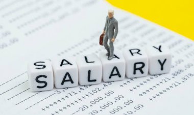 Anda Berminat jadi Menteri, Bos BUMN, atau Anggota DPR? Begini Gajinya...