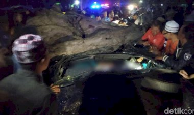 4 Penumpang Tewas, Mobil Tertimpa Pohon Asam Tumbang