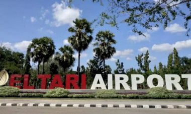 Waspada Penyebaran Demam Babi Afrika, Bandara Kupang Perketat Pemeriksaan