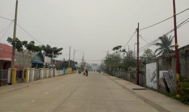 Kabut Asap Semakin Pekat Ancam Kesehatan Masyarakat Tanjabbar