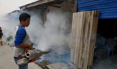 Demam Berdarah "Hantui" Warga Tanjab Barat