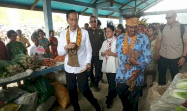 Presiden: Butuh Waktu Dua Tahun Bangun Bandara Pegunungan Arfak