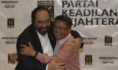 NasDem Mesra PKS, Pengamat: Perlawanan Paloh dari Dominasi Megawati