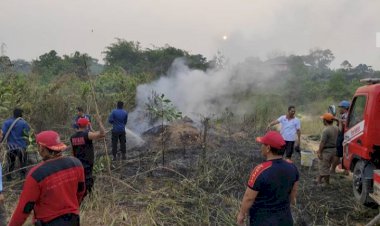 Kebakaran Hutan Menurun, Status Siaga Karhutla Malah Diperpanjang