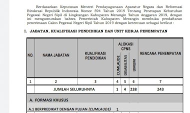 Mau Lihat Formasi Lengkap CPNS Merangin, Klik Disini