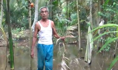 Anak Sungai Dibendung, Puluhan Hektare Kebun Warga Terancam Mati