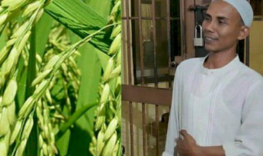 LSM NGO HAM: Kami Minta Kementan Selesaikan Kasus Hukum Benih Padi IF8