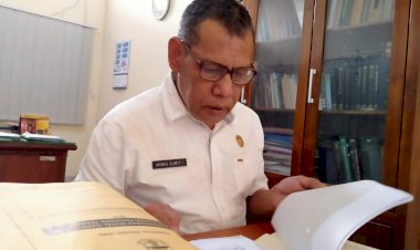 Target Investasi Provinsi Jambi Belum Tercapai, Ini Kata DPMTSP Jambi